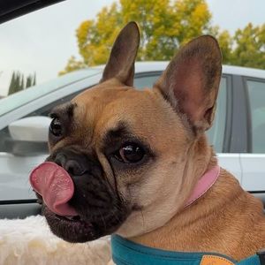 Meet your Posher, Ana